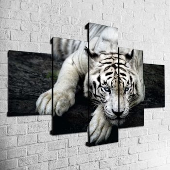 Cuadro Tigre MOD007