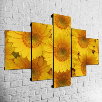Cuadro Girasoles MOD007