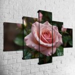 Cuadro Rosa MOD002